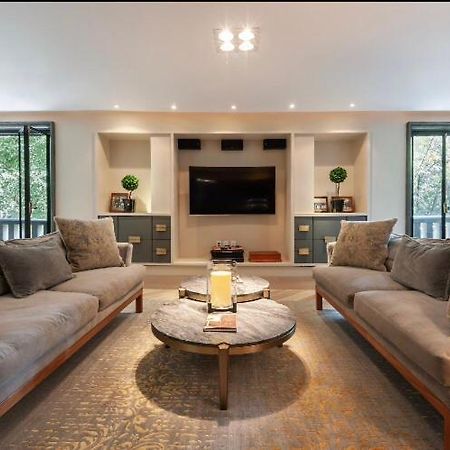 Condesa Super Loft Apartment Мехіко Екстер'єр фото